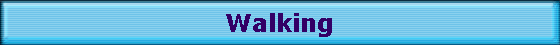 Walking