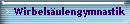 Wirbels�ulengymnastik